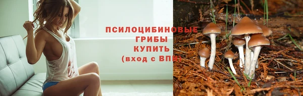 СК Балабаново