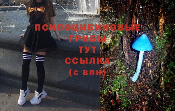 СК Балабаново