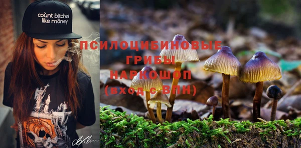 СК Балабаново